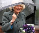 La météo était effectivement pluvieuse ! En visite dans les studios de la BBC Ecosse à Glasgow, qui fête ses 60 ans d\'existence, le prince Charles et Camilla Parker Bowles, connus comme duc et duchesse de Rothesay en Ecosse, se sont faits présentateu