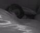 Capucine a passé une "nuit de malade" avec Thomas dans Secret Story 6