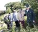La reine Margrethe II de Danemark et le prince Henrik lors de leur tournée d'été annuelle, début septembre 2012