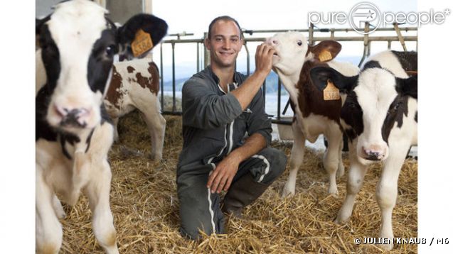Bertrand, candidat de L'amour est dans le pré 7 et ses vaches