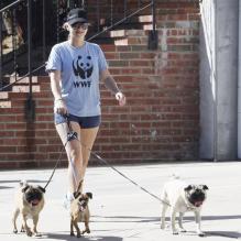 <p>Anna Faris se promène avec ses chiens à Los Angeles, le 28 septembre 2012.</p>