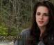 Interviews et extrait de Twilight - chapitre 5 : Révélation (2e partie)