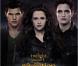 Affiche du film Twilight - chapitre 5 : Révélation (2e partie)