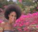 Miss Martinique lors de l'élection de Miss France 2013 le samedi 8 décembre 2012 sur TF1 en direct de Limoges