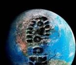 Affiche du documentaire de Leonardo DiCaprio