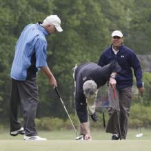 Barack Obama s'est offert une partie de golf sur le 18 trous de la base d'Andrews, en compagnie des sénateurs Saxby Chambliss, Bob Corker et Mark Udall le 6 mai 2013