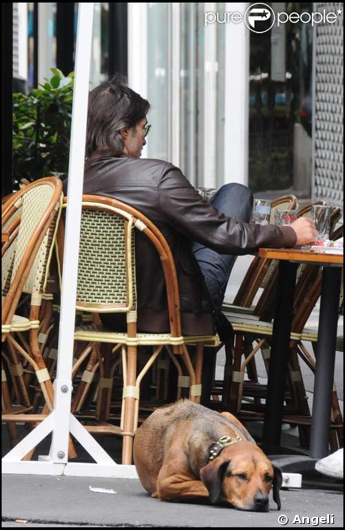 Sheeba, le chien d'Olivier Martinez