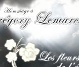Les fleurs de l'éternité, hommage à Grégory Lemarchal