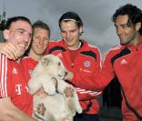Franck Ribéry, son équipe du Bayern de Munich et son ami le lionceau, au zoo de Dubaï...