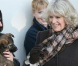 Camilla Parker-Bowles en visite dans un centre d'entraînement d'une brigade canine à Keston