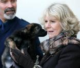 Camilla Parker-Bowles en visite dans un centre d'entraînement d'une brigade canine à Keston