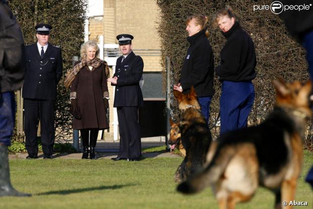 Camilla Parker-Bowles en visite dans un centre d'entraînement d'une brigade canine à Keston