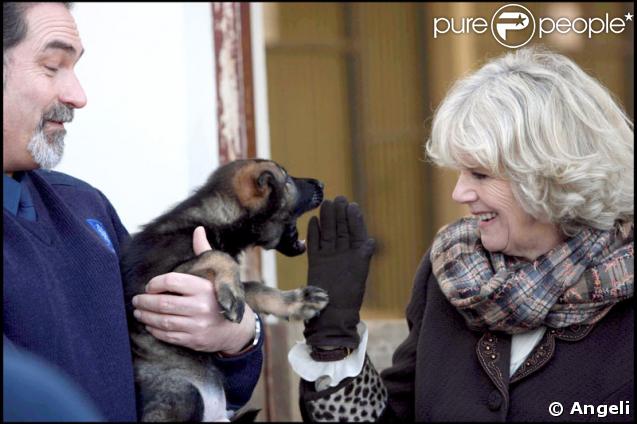 Camilla Parker-Bowles en visite dans un centre d'entraînement pour chiens