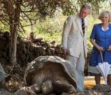 Le Prince Charles et son épouse, Camilla Parker Bowles, s'offrent une escapade dans le Parc National des Galapagos le lundi 16 mars 2009.