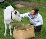 Victoria de Suède en visite dans le comté de Gavleborg