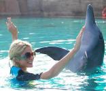 Paris Hilton à Dubai... nous fait partager ses journées grâce à sa page Twitter !