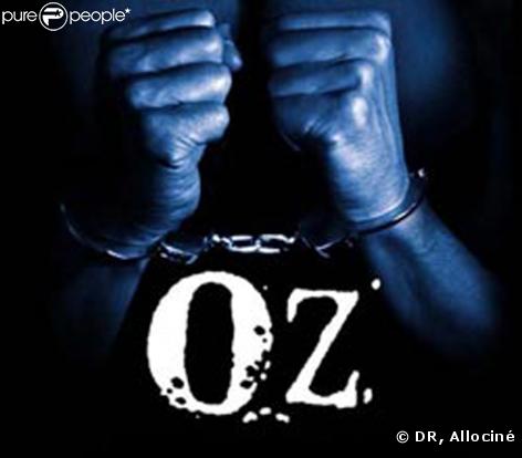 Oz est la série qui a ouvert la voie. En brisant les tabous du milieu carcéral, elle aborde de façon assez violente plusieurs thèmes tels que le racisme, l'homosexualité, les meurtres, mais aussi les affrontements entre gangs.      
<meta http-equiv=