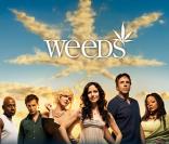  Comme son nom l'indique, dans Weeds, la drogue est à l'honneur. La série raconte la vie d'une mère de famille dealeuse de drogues dans les beaux quartiers californiens. 