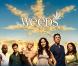 Comme son nom l'indique, dans Weeds, la drogue est à l'honneur. La série raconte la vie d'une mère de famille dealeuse de drogues dans les beaux quartiers californiens.