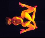  Désirs , le nouveau show du Crazy Horse, mis en scène par Philippe Decouflé, démarrera le 21 septembre 2009 !