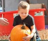 David Boreanaz, sa femme Jaime Bergman et leur fils Jaden Rayne achètent une citrouille pour Halloween chez Mr. Bones Pumpkin Patch à Los Angeles le 10 octobre 2009 