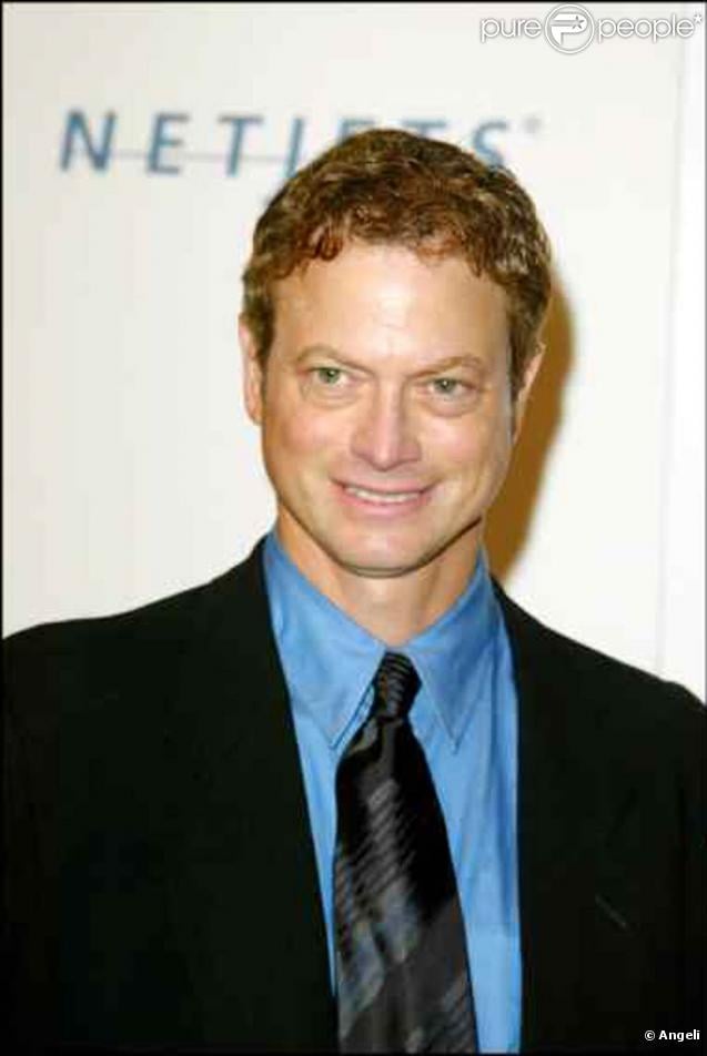 Gary Sinise - Picture