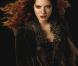 Les nouvelles images de  Twilight Chapitre 2  !