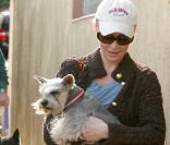 Katherine Heigl, accompagnée par son beau-père, emmènent leurs compagnons canins chez le vétérinaire, vendredi 27 novembre, à Los Angeles.