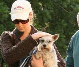 Katherine Heigl, accompagnée par son beau-père, emmènent leurs compagnons canins chez le vétérinaire, vendredi 27 novembre, à Los Angeles.