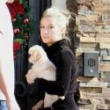 Ashley Tisdale : Quand elle se prend pour un peintre en bâtiment, même son chien trouve ça... moche !