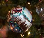 Noël 2009 à la Maison Blanche... Barack Obama pense tout de même à Hawaii, où qu\'il soit et quoi qu\'il fasse.<br />