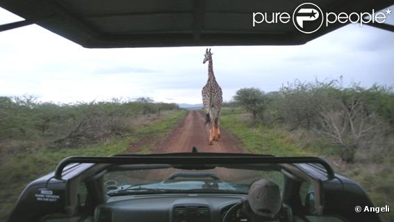 Image de la réserve naturelle africaine