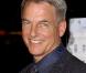 Mark Harmon
