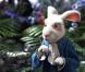 Des images d' Alice au pays des merveilles , de Tim Burton.