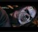 Regardez le groupe de métal Slipknot entonner Tirelipimpon de Carlos ! C'est incroyable !