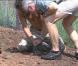 Greg alias Crocodile Dundee