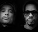 Kool Shen et JoeyStarr, une amitié de 25 ans à l'épreuve du Cabinet des Curiosités numéro 33 !