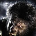 Première image officielle de 'The Wolfman' avec Benicio Del Toro !