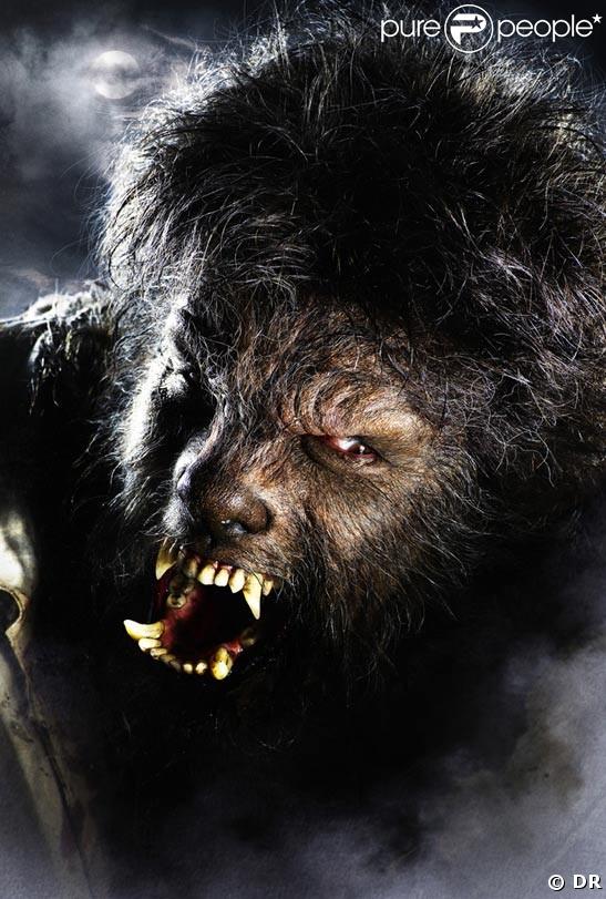 Première image officielle de 'The Wolfman' avec Benicio Del Toro !