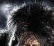 Première image officielle de 'The Wolfman' avec Benicio Del Toro !