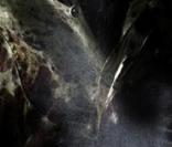 Première image officielle de 'The Wolfman' avec Benicio Del Toro !