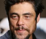 Benicio Del Toro 