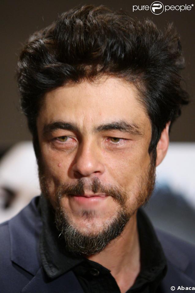 Benicio Del Toro 