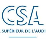 Le Conseil supérieur de l'audiovisuel (CSA) promet de se pencher sérieusement sur le cas des émissions de télé-réalité.