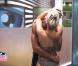 Secret Story 4 : Regardez Senna et Amélie prendre une douche... très chaude, et Benoît se rapprocher du clan de Bastien !