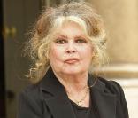Brigitte Bardot a bien été approchée par l'Alliance Ecologiste Indépendante en vue de la présidentielle 2012.