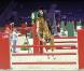 Samedi 4 décembre, le Gucci Masters 2010 a eu droit à un formidable spectacle, plein de fantaisie et d'humour. Charlotte Casiraghi en a été l'une des protagonistes ; sa mère Caroline de Hanovre a reçu un généreux chèque pour l'Amade.