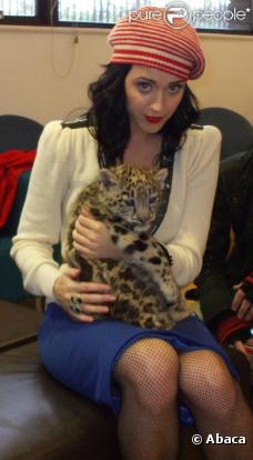 Katy Perry et un bébé léopard en backstage du show Tv de Paul O'Grady, à Londres en 2008 
