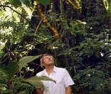Alain Chabat présentera son  Houba ! Le Marsupilami et l'Orchidée de Chicxulub , le 4 avril 2012