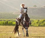 Reese Witherspoon, très à l'aise à cheval, dans des images de  De l'eau pour les éléphants , en salles le 4 mai 2011.